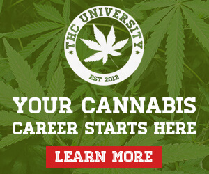 THC University