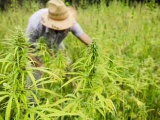 #122 - Farming Hemp for the First Time with Len Mackey of Shima Hill Hemp Farm