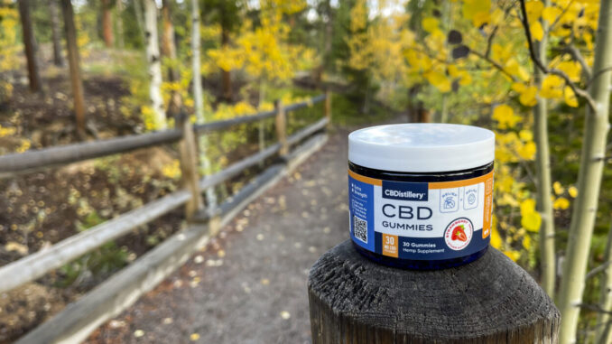 5 Important Considerations When Choosing a CBD Brand