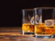 Alcoholism and the Endocannabinoid System