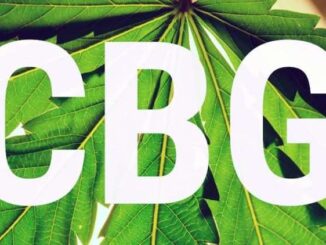 CBG oil article thumbnail