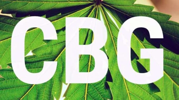 CBG oil article thumbnail