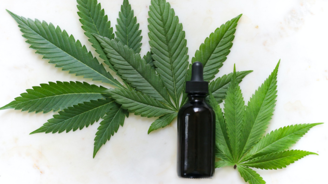 How to Find the Best CBD Oil