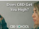 Does CBD Get You High?