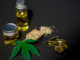 Hemp vs Cannabidiol: What’s the Difference?