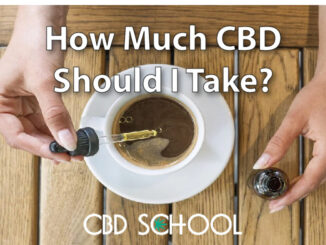 How Much CBD Should I Take?