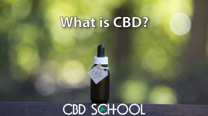 What is CBD (Cannabidiol)? - CBD School