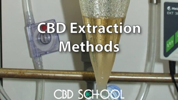 CBD Extraction Methods Explained in Detail