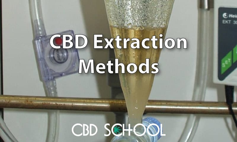 Cbd Extraction Methods Explained In Detail Cbd Expert 7294