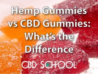 Hemp Gummies vs CBD Gummies: We Explain the Difference