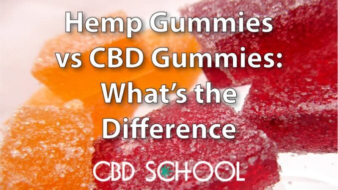 Hemp Gummies vs CBD Gummies: We Explain the Difference