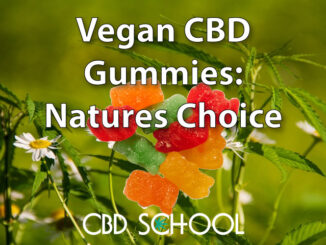 Vegan CBD Gummies: As Natural As It Gets