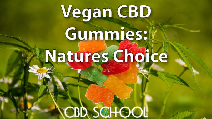 Vegan CBD Gummies: As Natural As It Gets