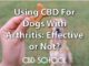 CBD Oils for Dogs With Arthritis: Is It a Scam?