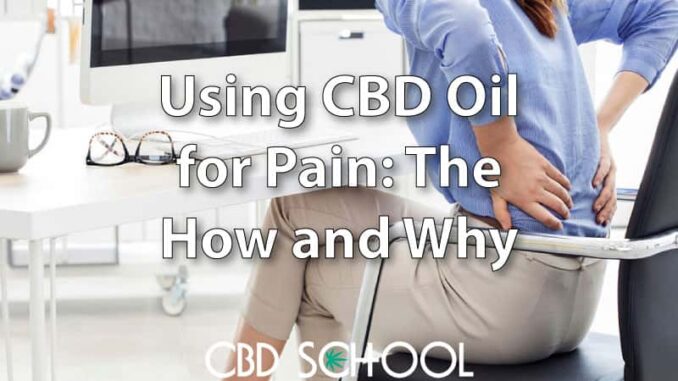 Using CBD Oil for Pain Management: How it Works