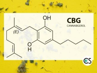 Full Spectrum CBG Oil: What is It?