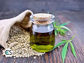 What is a CBD Carrier Oil? Why Should I Care?