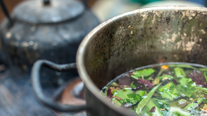 Ayahuasca and the Endocannabinoid System