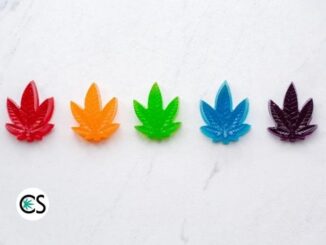 How Long Do CBD Edibles Last?