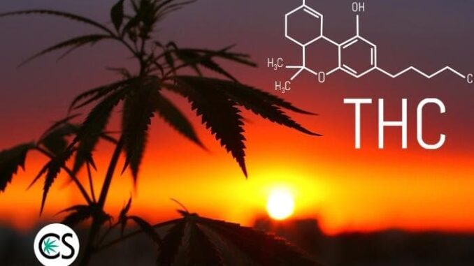 What is THC? What is Tetrahydrocannabinol?