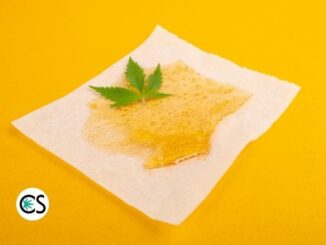 How to Use CBD Shatter