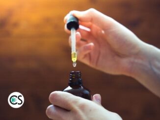 What Does CBD Oil Taste Like?